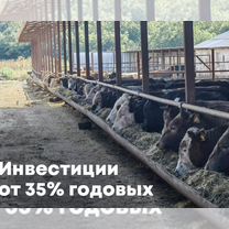 Инвестиции в многопрофильную ферму. от 35 годовых