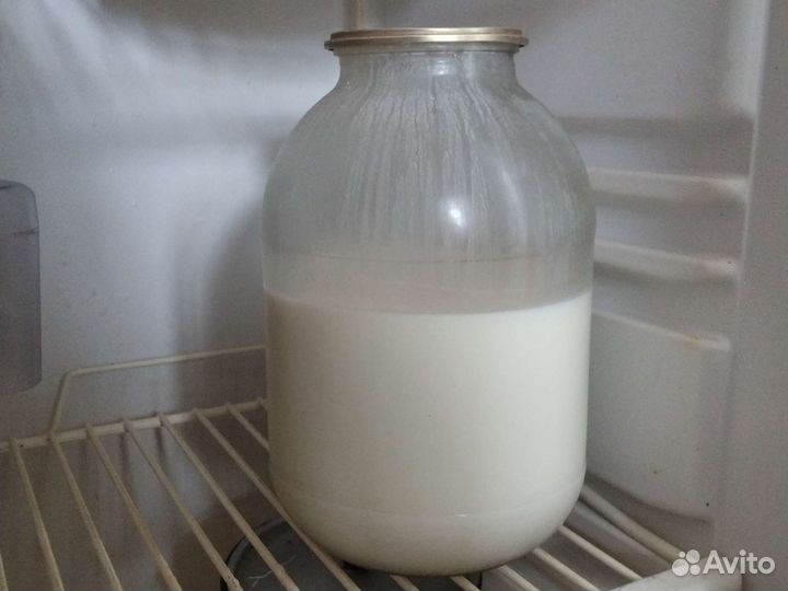 Молочные продукты