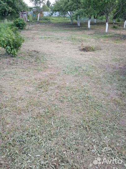 Покос травы, культивация