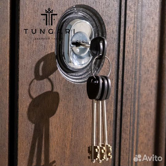 Входная дверь 1 Порту