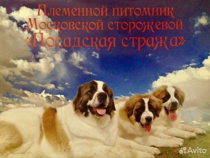 Московская сторожевая
