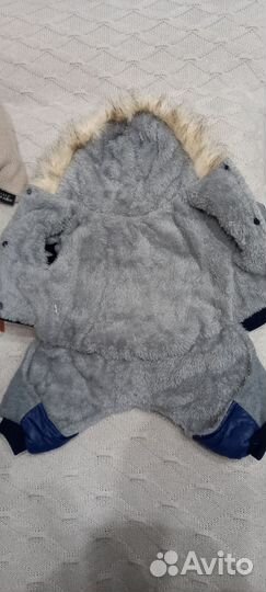 Комбинезон для собаки