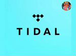 Tidal HiFi Plus / Пожизненная