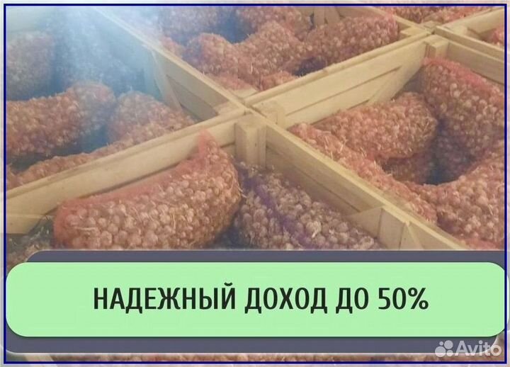 Привлекаем инвестиции в действующий бизнес