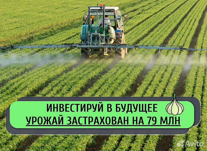 Инвестор/ Пассивный доход до 50%