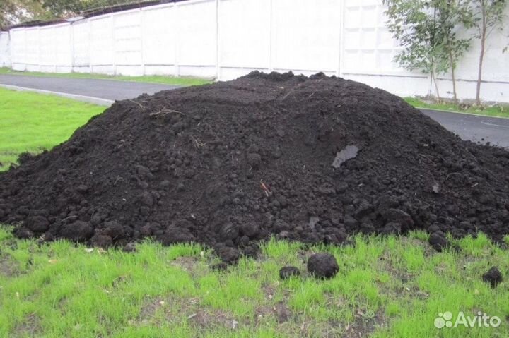 Земля чернозем