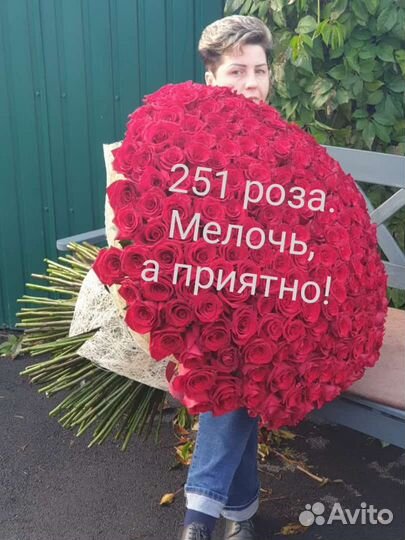 251 роза 1 метр