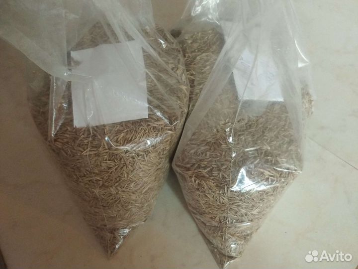 Газон Газонные смеси Семена газонныз трав