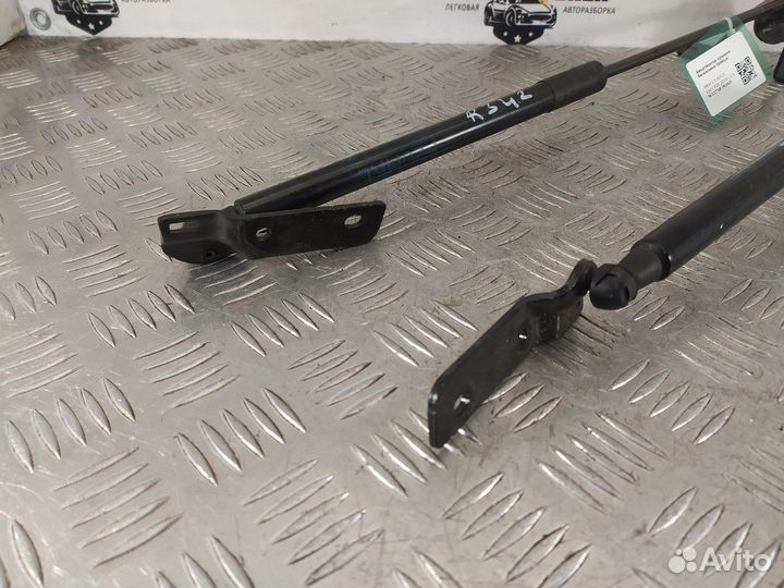 Амортизаторы багажника (комплект) R\L BMW 1