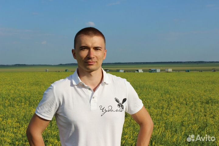 Мёд оптом, своя пасека, от 1 кг - Зеленоград