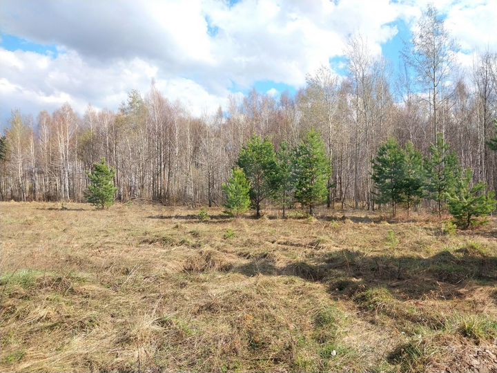 Участок 15 сот. (СНТ, ДНП)