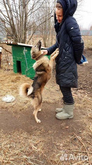 Очаровашка из приюта
