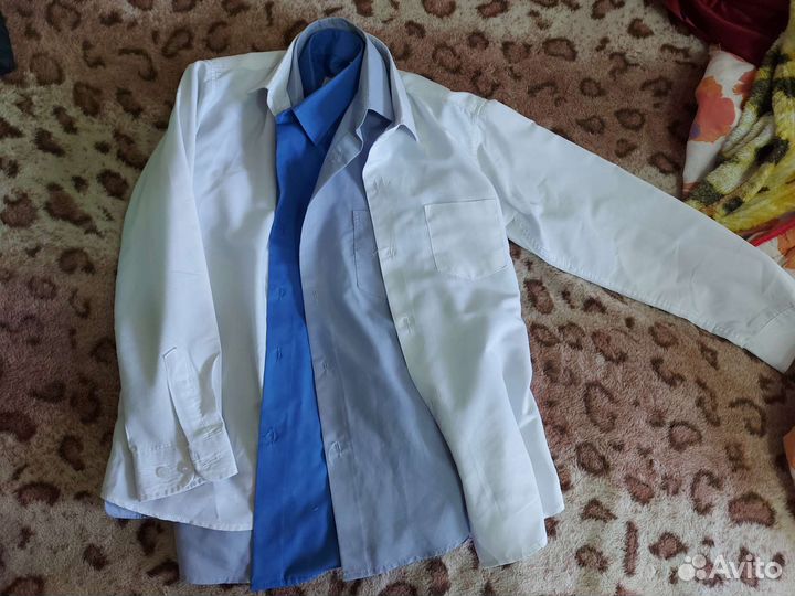 Рубашки школьные 140-146-152