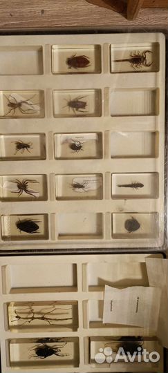 Минералы сокровища земли 6 кейсов