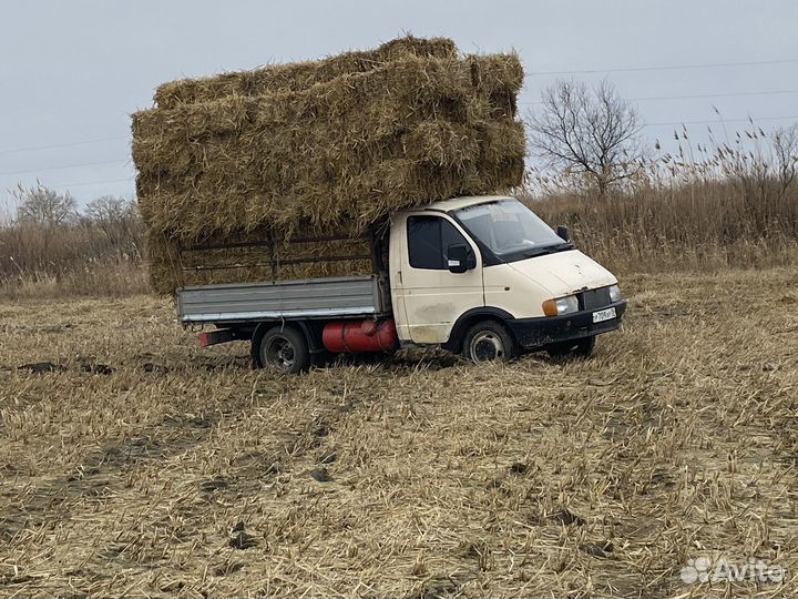 Солома в тюках рисовая