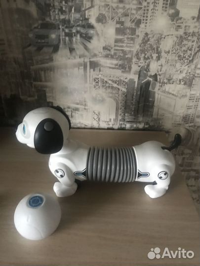 Робот собака