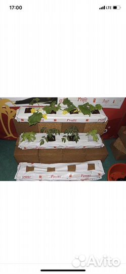 Кокосовый мат 18л