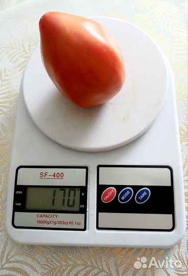 Семена томатов Буденовка