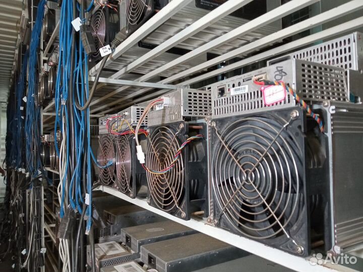 Асик Whatsminer M30S+ 102 TH/s