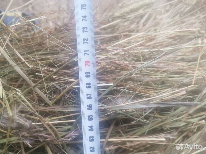 Сено в мини рулонах