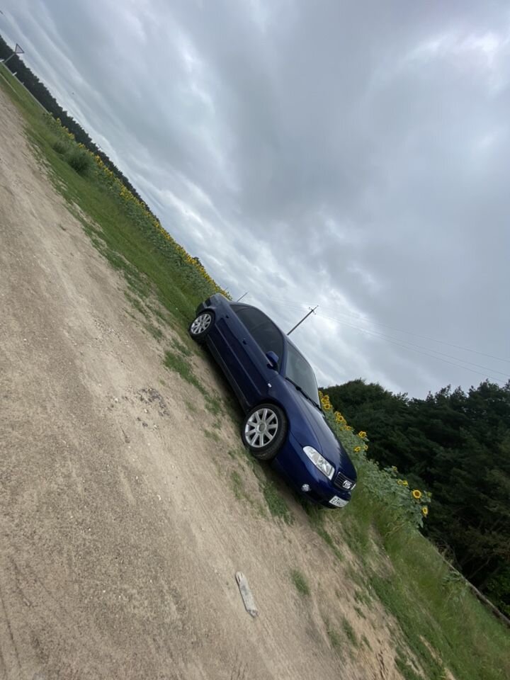 Audi A4: фото владельца