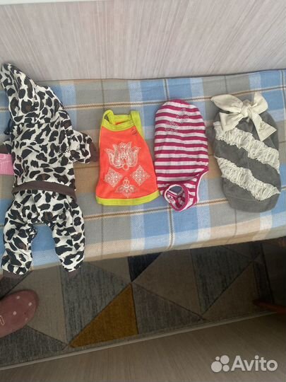 Комбинезон для маленькой собаки