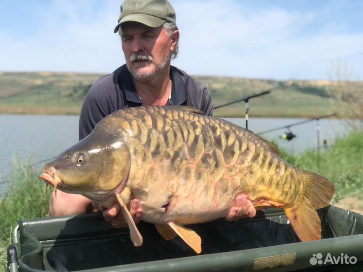 Трофейная рыбалка и комфортный отдых