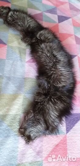 Мех чернобурки воротник