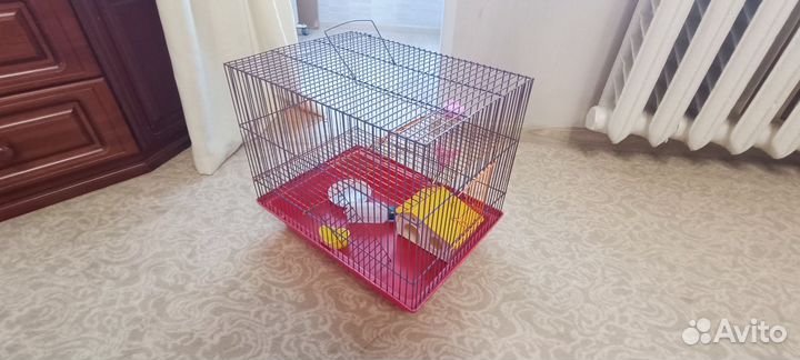 Клетка