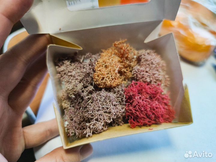 Ягель 3 коробочки по 10гр (300мл)