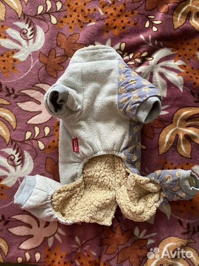 Одежда для собак