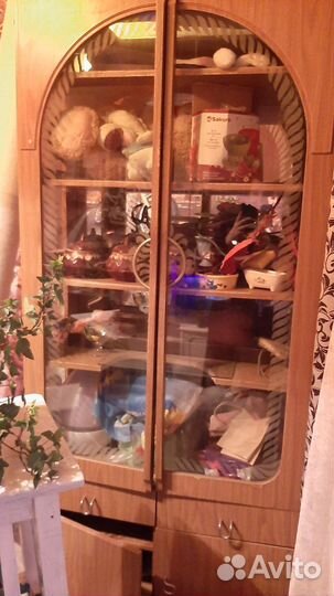 Витрина для шиншилл