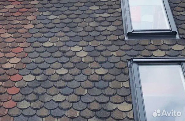 Шинглас Атлантика