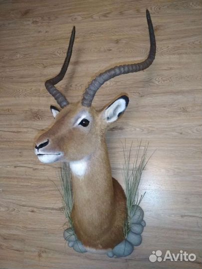 Импала - реплика из искусственного меха