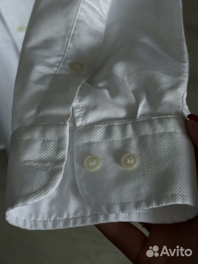 Рубашка lacoste оригинал