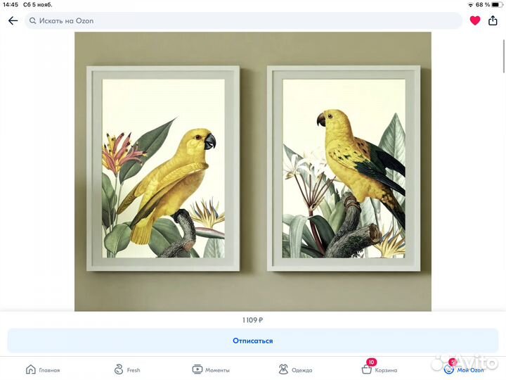 Постер попугаи 2 шт