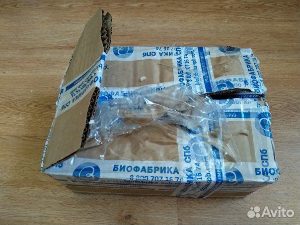 Пиявки медицинские