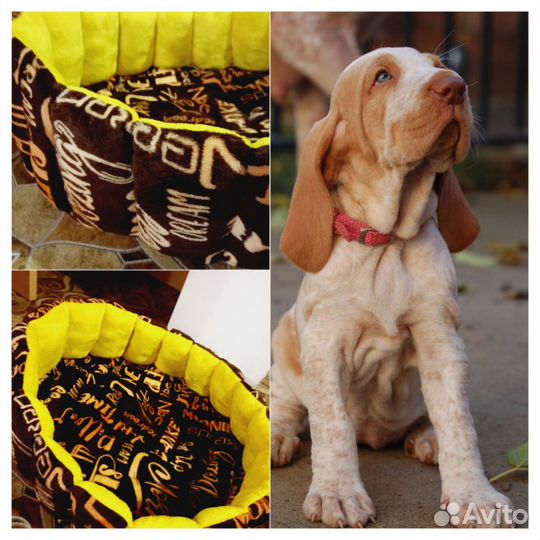 Лежанка для большой собаки