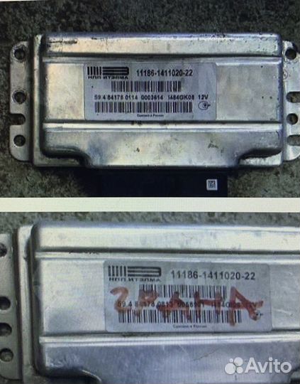 Эбу гранта 2190 мозги