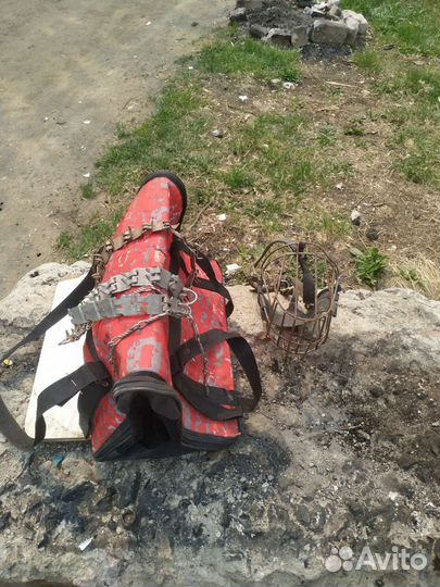 Товары для домашних животных