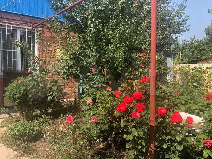 Дом 24 м² на участке 2 сот.