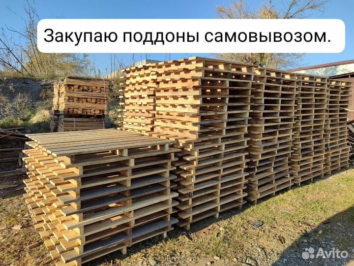 Поддоны