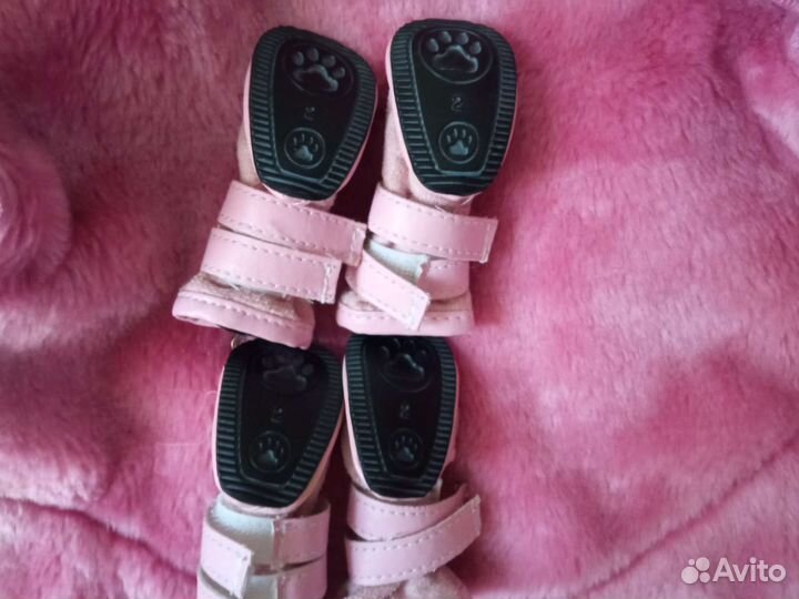 Дубленка собачья + демисезонные сапожки