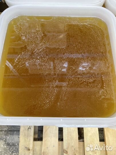 Мед цветочный оптом