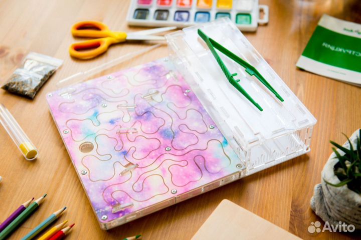 Формикарий/ Подарок для ребенка/ Муравьиная ферма