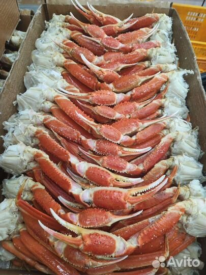 Креветка, крабы, лангустины, морепродукты опт