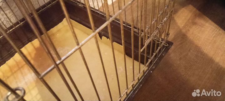 Клетка вольер для птиц