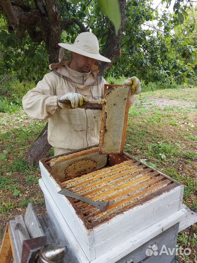 Мёд майский и гречишный