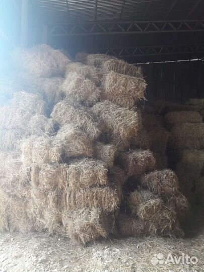 Продам сено в рулонах