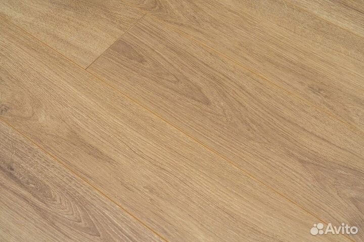 Ламинат Камсан / Camsan Avangard 4510 Дуб Аляска